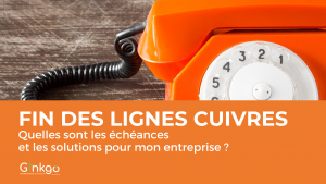 Lire la suite à propos de l’article Fin des lignes cuivres : Quelles sont les échéances et les solutions pour mon entreprise ?